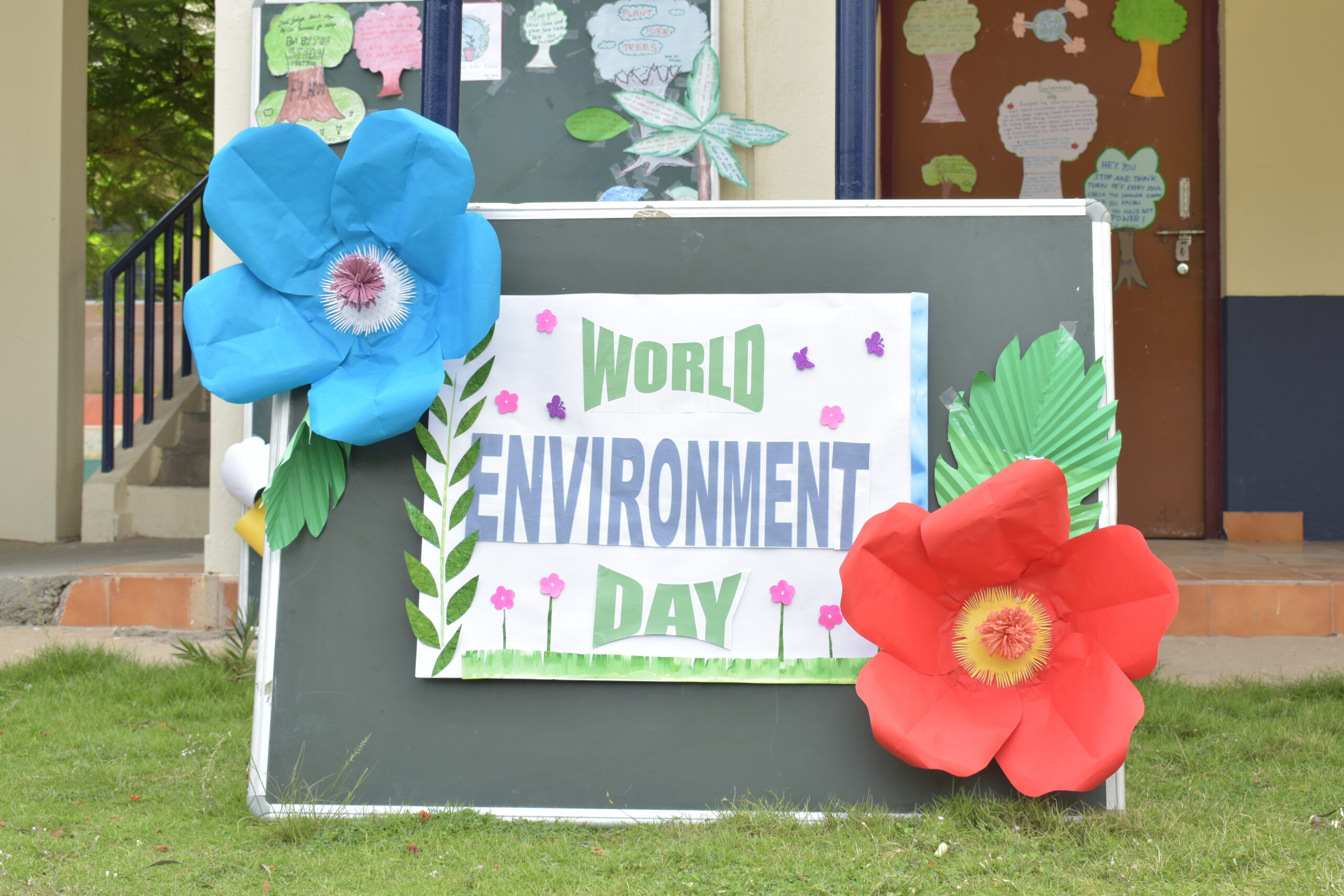 WORLD ENVIRONMENT DAY 2019-20